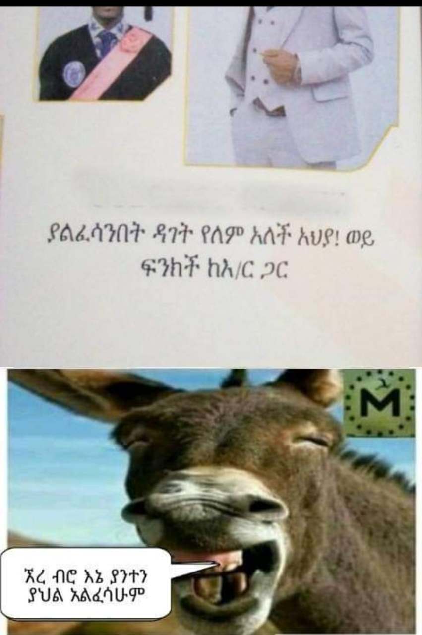 a donkey with a man in a suit